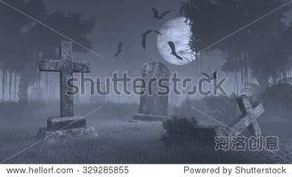 国产大蝙蝠视频在线播放,在线观看，探索神秘生物的奇幻之旅