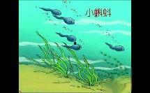 蝌蚪国产窝视频凹凸在线