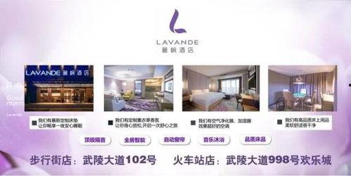 国产酒店免费福利视频,独家视频体验大揭秘