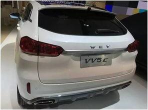 国产车喷雾事件始末视频,真相揭秘与行业反思