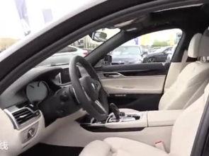 国产车衣发黄视频,探究原因及防护措施